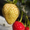 370040_20180410165650_01.JPG
