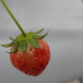 042004_20180308130358_01.JPG