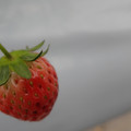042004_20180308130358_03.JPG