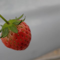 042004_20180308130358_04.JPG