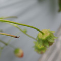 042004_20180308130714_02.JPG