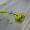 042004_20180308130714_04.JPG