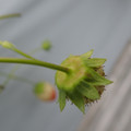 042004_20180308130714_05.JPG