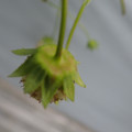 042004_20180308130715_01.JPG