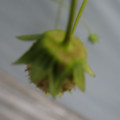 042004_20180308130715_02.JPG