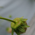 042004_20180308130718_03.JPG