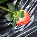 090017_20181129155518_01.JPG