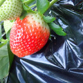 090017_20181129160259_01.JPG