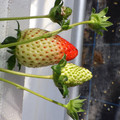 225103_20190104133933_01.JPG