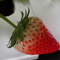 229903_20180105100116_01.JPG