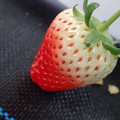 229903_20180105100859_01.JPG