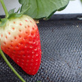 229903_20180105100931_01.JPG