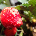 229905_20180113101245_01.JPG