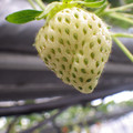370111_20181212155605_02.JPG
