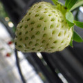 370111_20181212155612_02.JPG