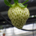 370111_20181212155616_02.JPG