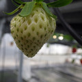 370111_20181212155648_02.JPG