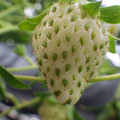 370111_20181212155657_01.JPG