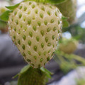 370111_20181212155716_01.JPG