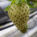 370111_20181212155721_01.JPG