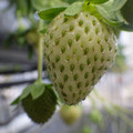 370111_20181212155733_02.JPG