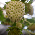 370111_20181212155741_01.JPG