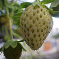 370111_20181212155746_01.JPG