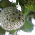 370111_20181212155804_02.JPG