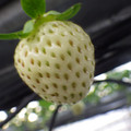370111_20181212155820_01.JPG