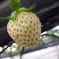 370111_20181212155823_02.JPG