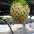370111_20181212155830_01.JPG