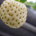 370111_20181212155836_01.JPG