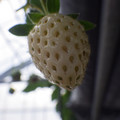 370111_20181212155848_01.JPG