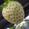 370111_20181212155900_02.JPG