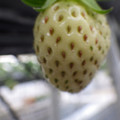 370111_20181212155907_01.JPG
