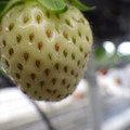 370111_20181212155911_02.JPG