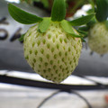 370111_20181212155945_01.JPG