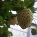 370111_20181212155954_01.JPG