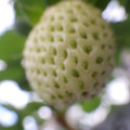 370111_20181212160018_01.JPG
