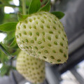 370111_20181212160052_02.JPG