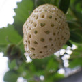 370111_20181212160113_02.JPG