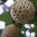 370111_20181212160118_02.JPG