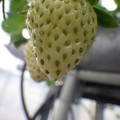 370111_20181212160122_01.JPG