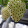 370111_20181212160126_02.JPG