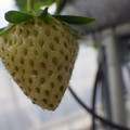 370111_20181212160135_01.JPG