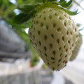 370111_20181212160146_02.JPG