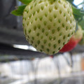 370111_20181212160205_02.JPG