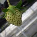370111_20181212160214_02.JPG