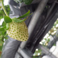 370111_20181212160222_02.JPG