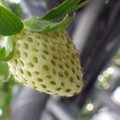 370111_20181212160226_01.JPG